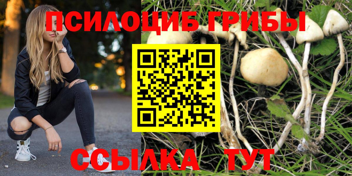 Галлюциногенные грибы GOLDEN TEACHER Мыски