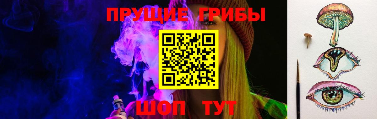 Галлюциногенные грибы Psilocybe  цены наркотик  Мыски  Вход с VPN  Псилоцибиновые грибы Psilocybe 